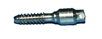 Abutment & Screw